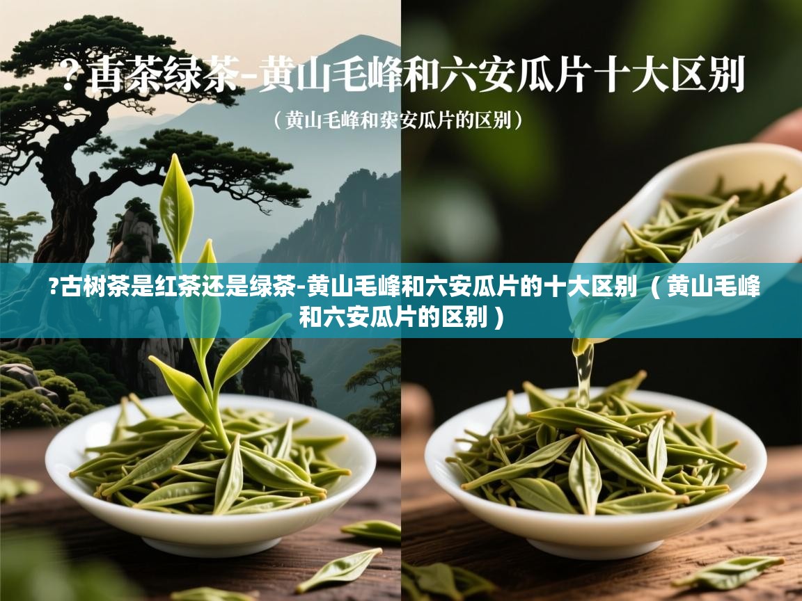 ?古树茶是红茶还是绿茶-黄山毛峰和六安瓜片的十大区别 ( 黄山毛峰和六安瓜片的区别 ) ?古树茶是红茶还是绿茶-黄山毛峰和六安瓜片的十大区别 ( 黄山毛峰和六安瓜片的区别 )