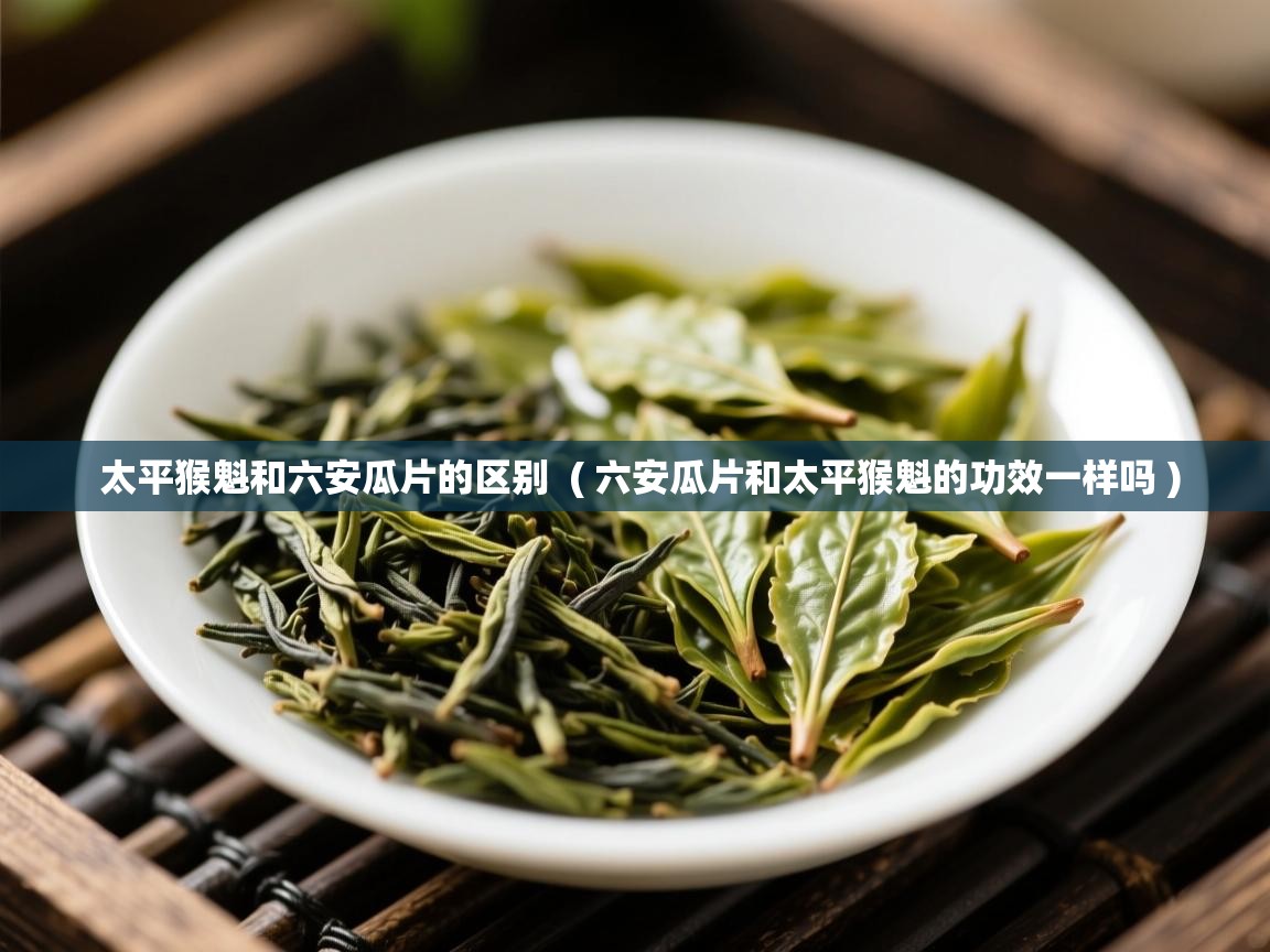 太平猴魁和六安瓜片的区别 ( 六安瓜片和太平猴魁的功效一样吗 ) 太平猴魁和六安瓜片的区别 ( 六安瓜片和太平猴魁的功效一样吗 )