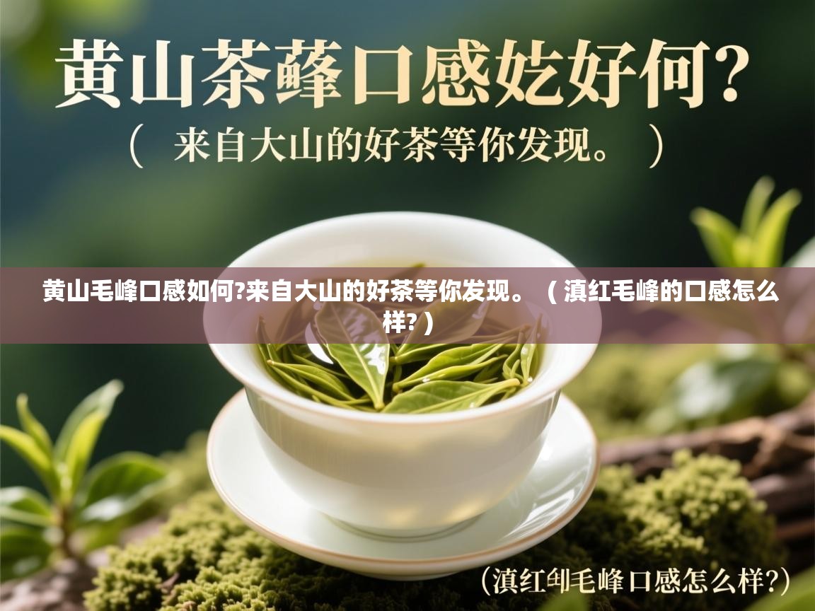  黄山毛峰口感如何?来自大山的好茶等你发现。  ( 滇红毛峰的口感怎么样? )