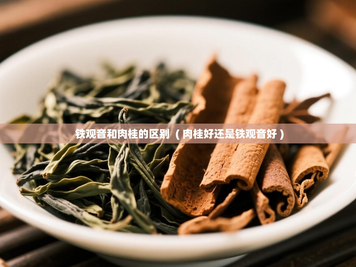 铁观音和肉桂的区别  ( 肉桂好还是铁观音好 )