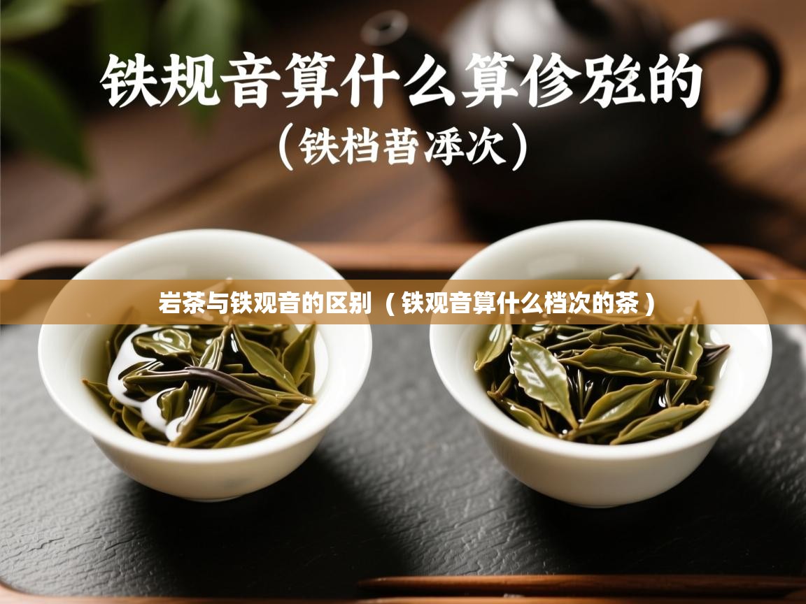  岩茶与铁观音的区别  ( 铁观音算什么档次的茶 )