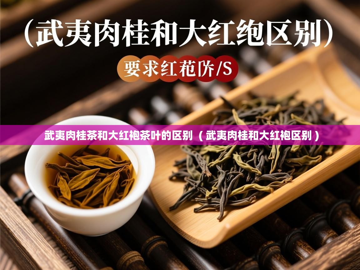  武夷肉桂茶和大红袍茶叶的区别  ( 武夷肉桂和大红袍区别 )