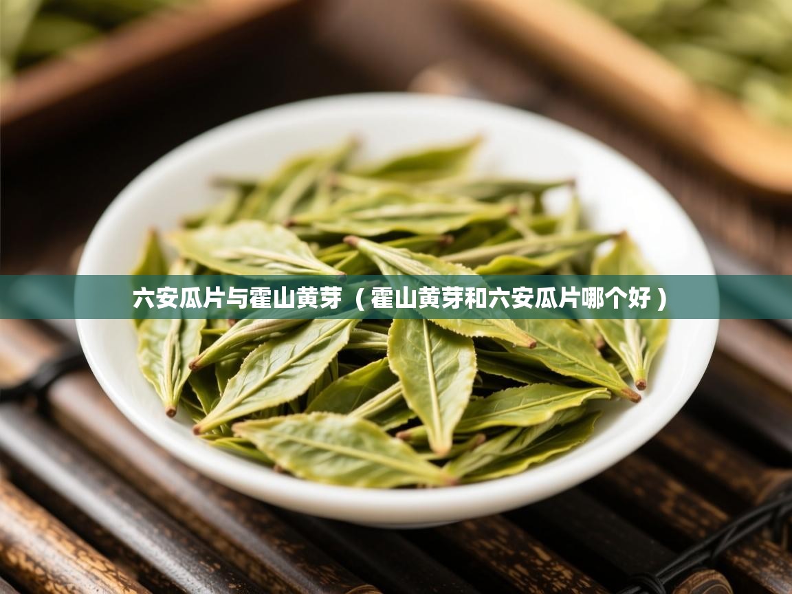 六安瓜片与霍山黄芽 ( 霍山黄芽和六安瓜片哪个好 ) 六安瓜片与霍山黄芽 ( 霍山黄芽和六安瓜片哪个好 )