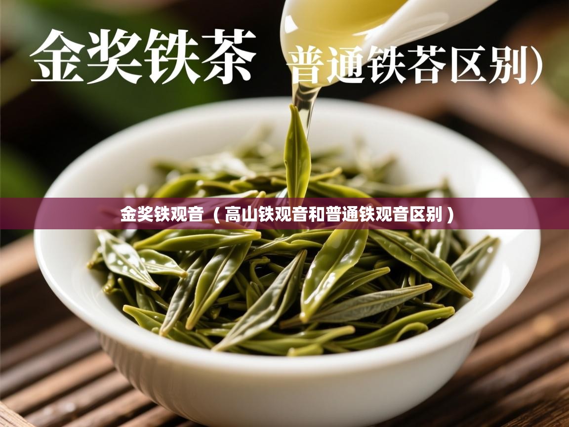 金奖铁观音 ( 高山铁观音和普通铁观音区别 ) 金奖铁观音 ( 高山铁观音和普通铁观音区别 )